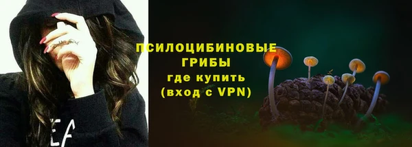 спайс Бородино