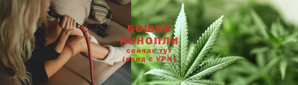 спайс Бородино