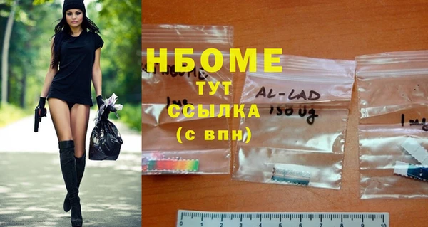 спайс Бородино